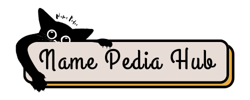 Name Pedia Hub