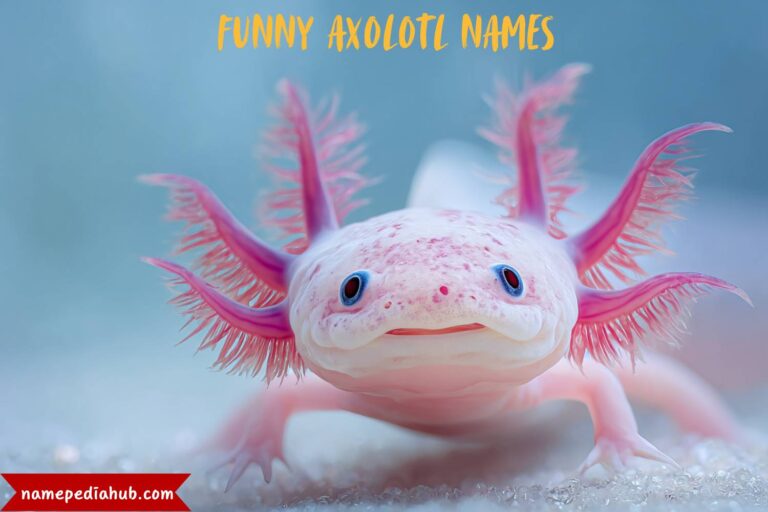 funny axolotl names