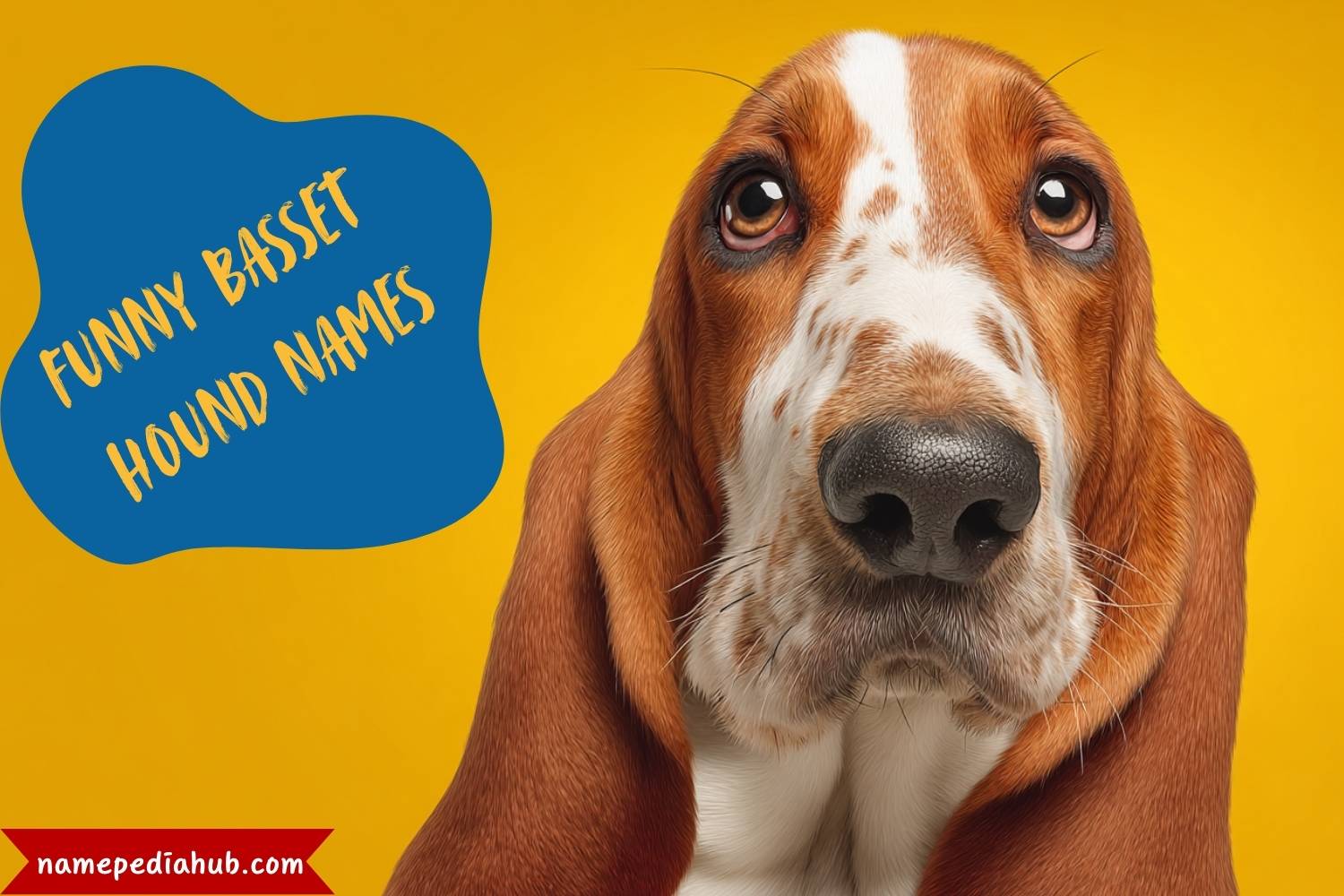 funny basset hound names