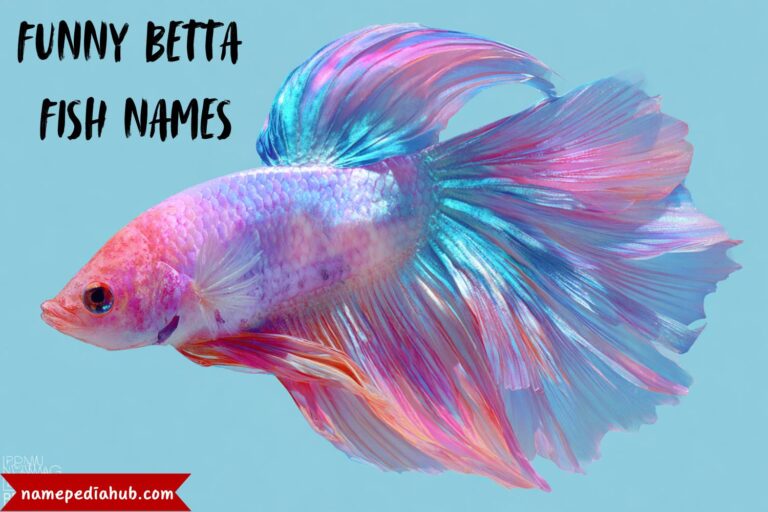 funny betta fish names