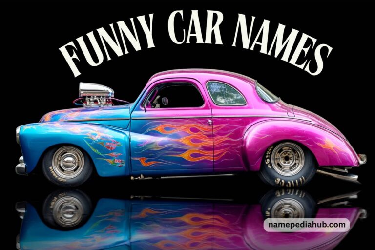 funny car names