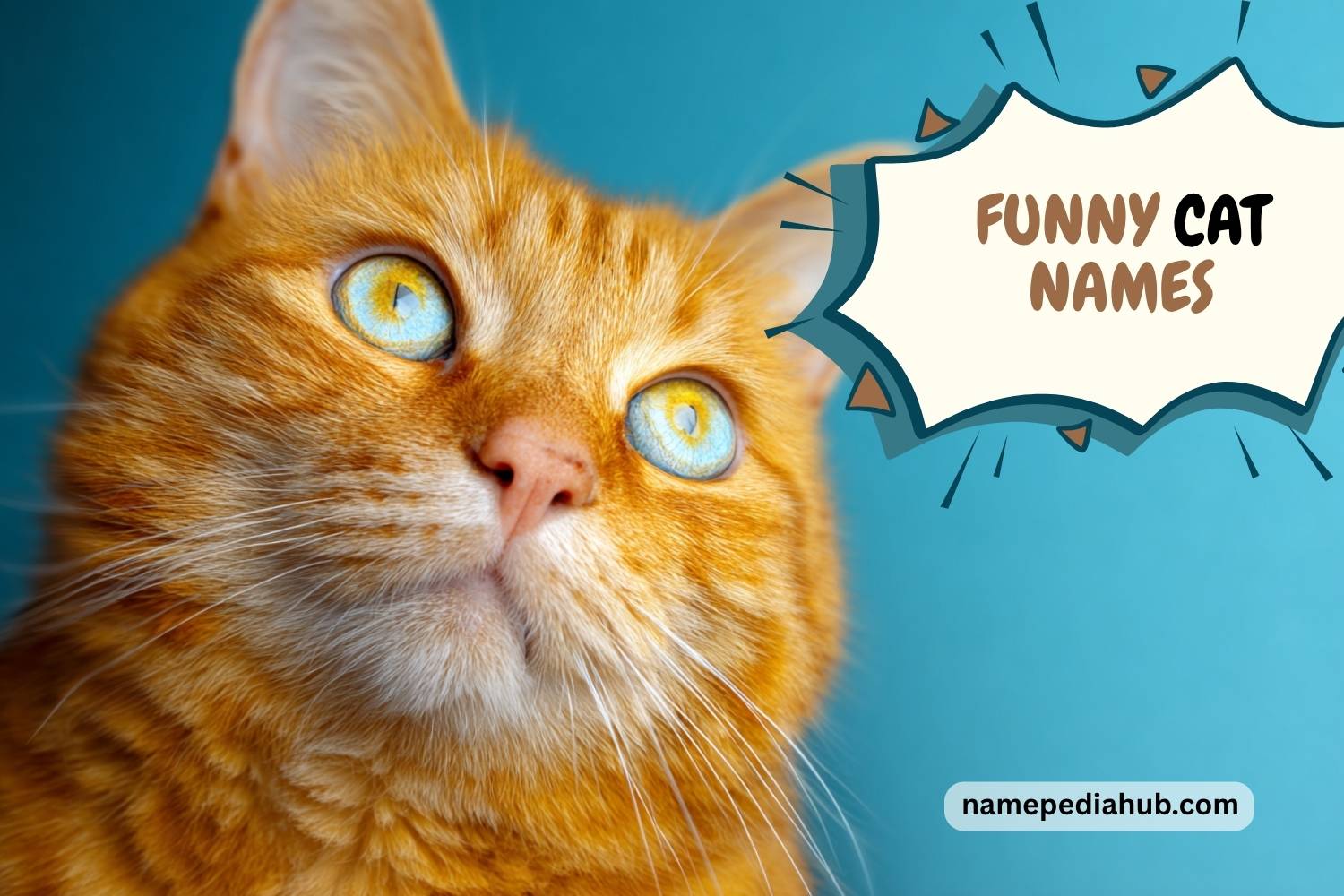funny cat names