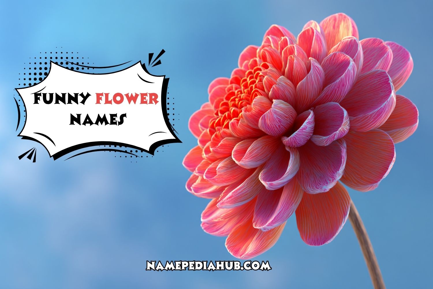 funny flower names