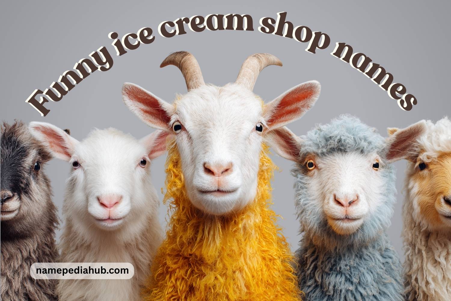 funny names for animals