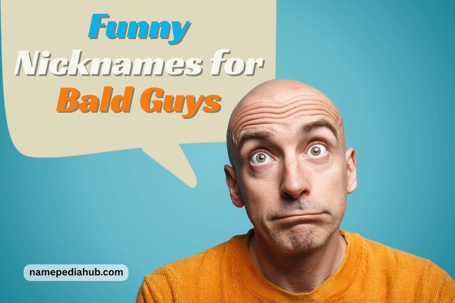 funny nicknames for bald guys