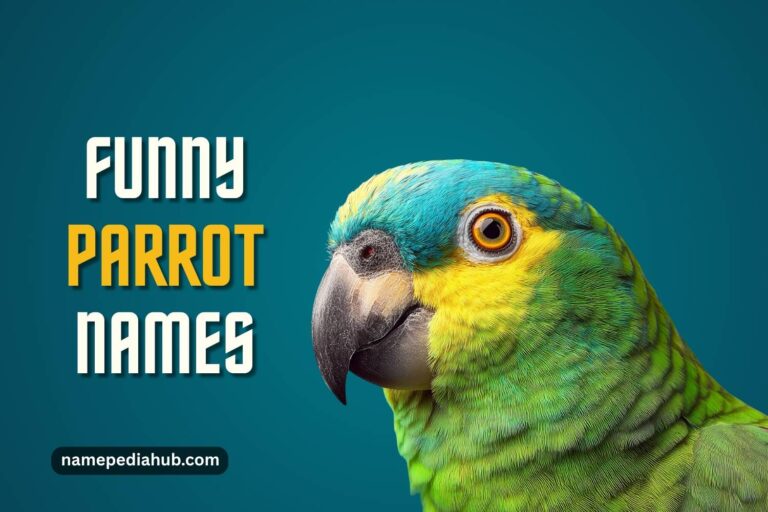 funny parrot names