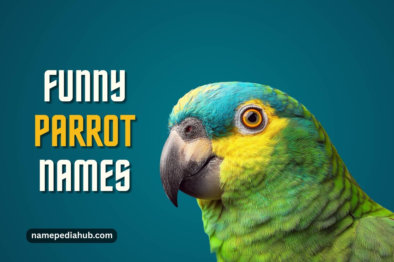 funny parrot names
