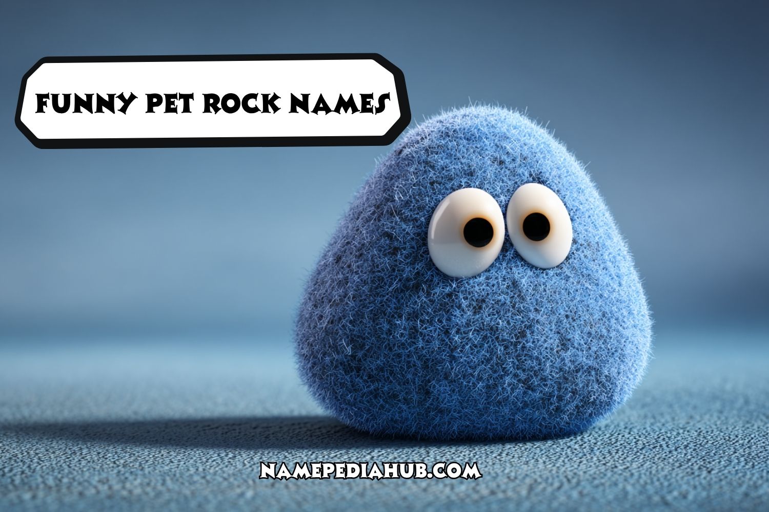 funny pet rock names