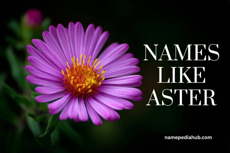 names like aster