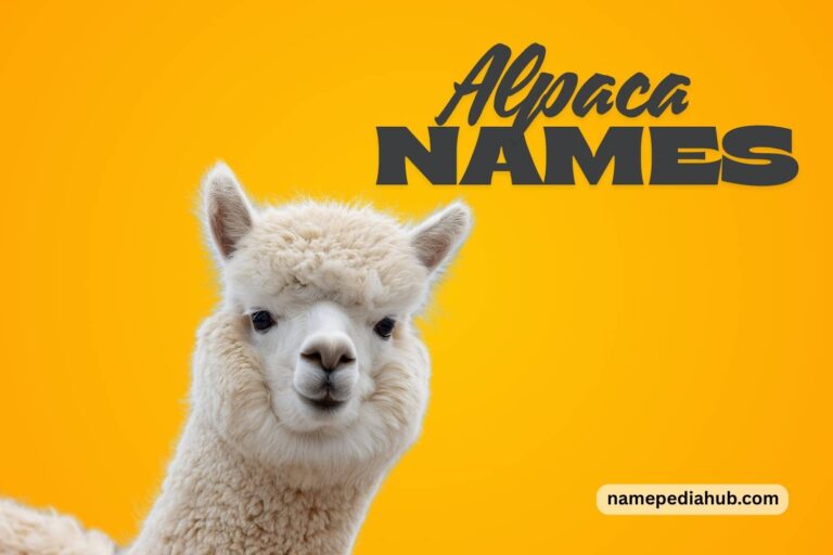 alpaca names