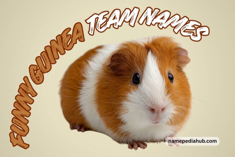 funny guinea pig names