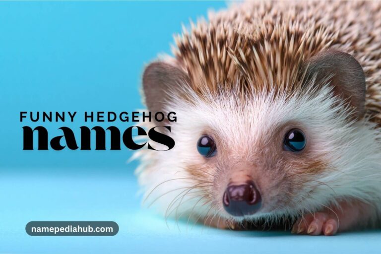 funny hedgehog names