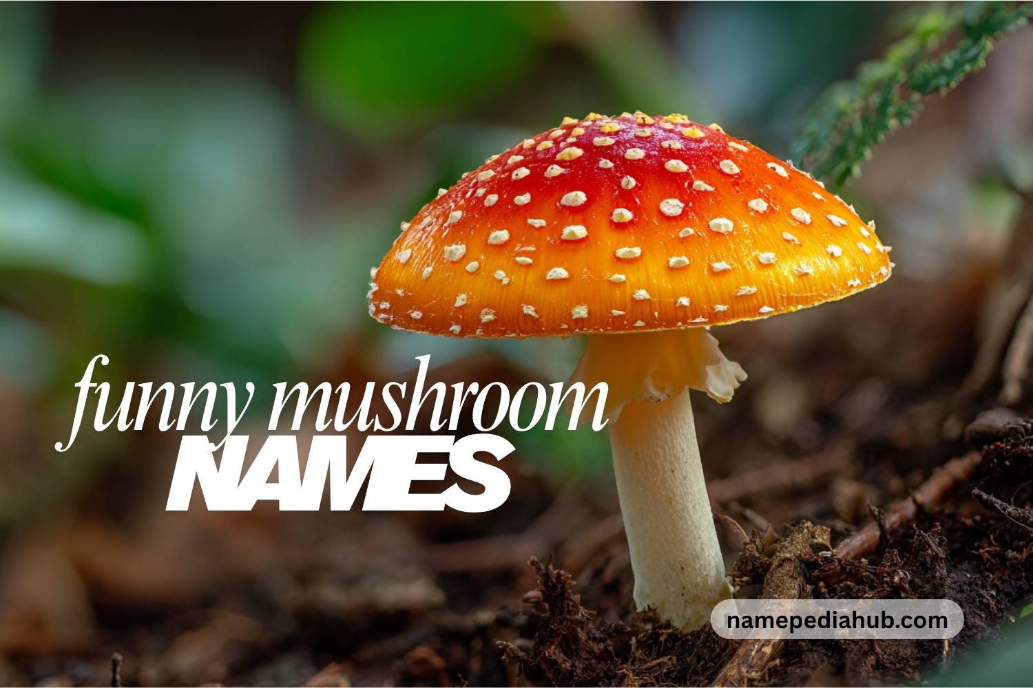 funny mushroom names