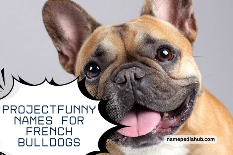 funny names for french bulldogs