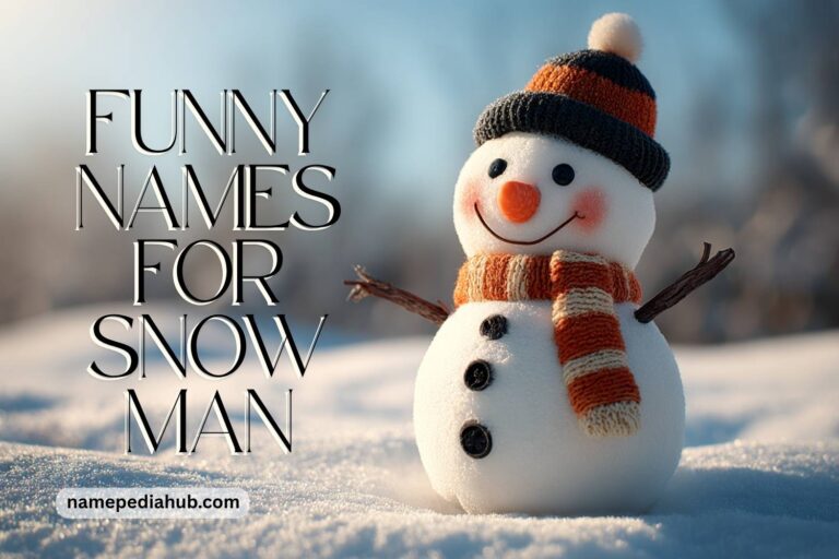 funny names for snowman