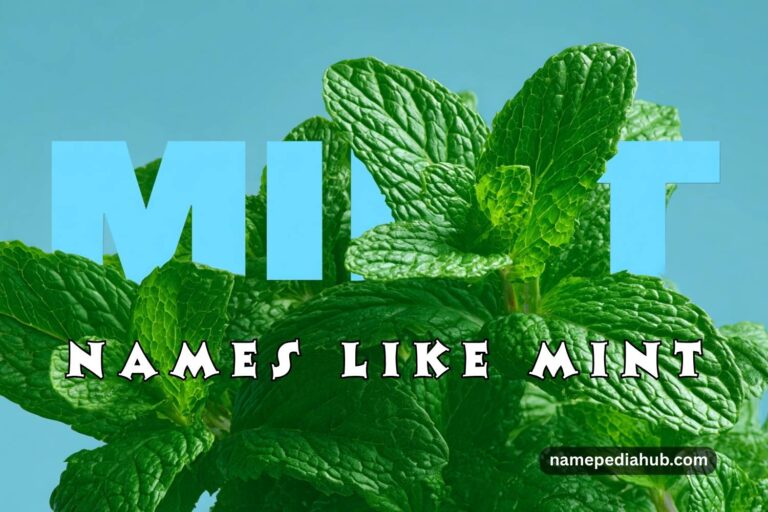 names like mint