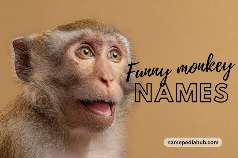 funny monkey names
