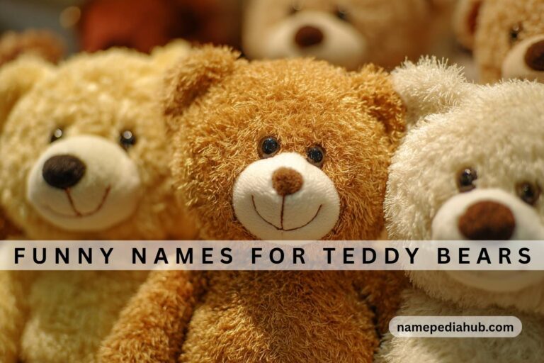 funny names for teddy bears