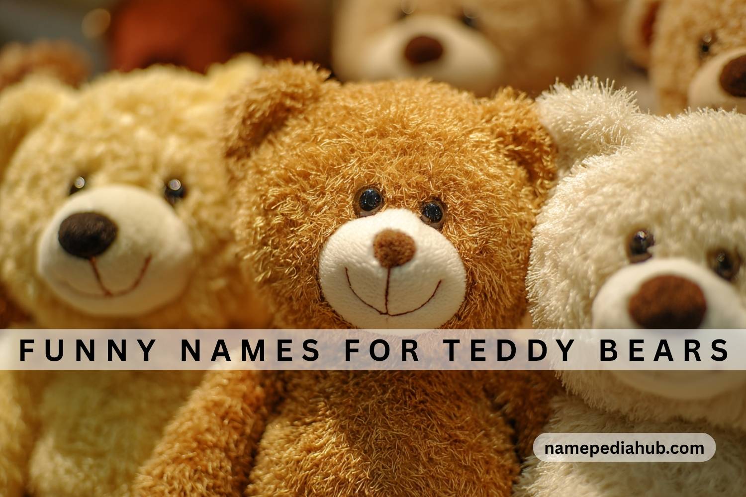 funny names for teddy bears