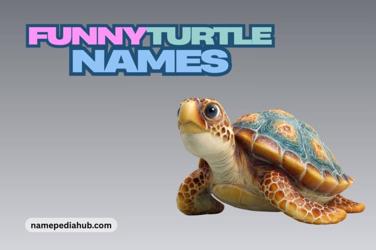 funny turtle names