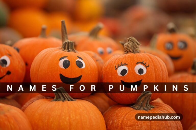 names for pumpkins